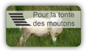 Cisaille Pourika EGD pour tondre moutons, alpaga, lama