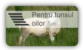 Pourika EGD - foarfece de înaltă calitate, pentru tunderea oilor
